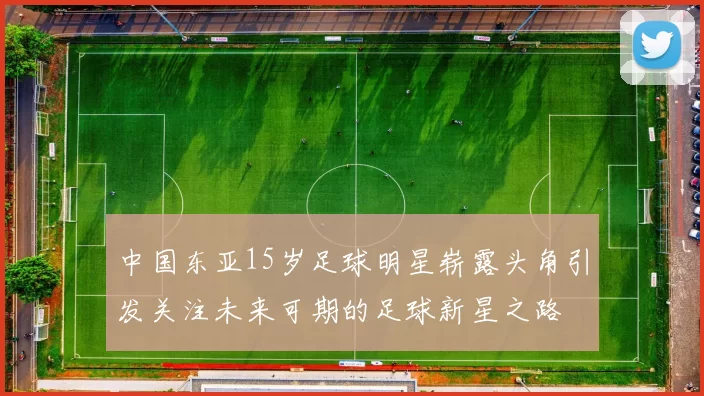 中国东亚15岁足球明星崭露头角引发关注未来可期的足球新星之路