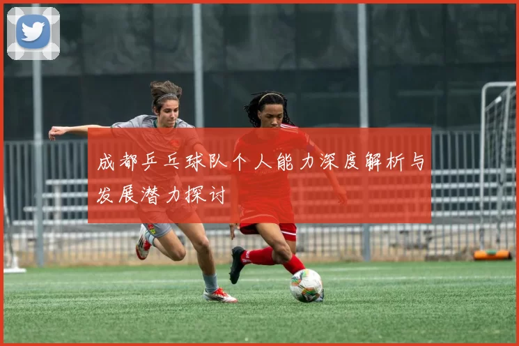 成都乒乓球队个人能力深度解析与发展潜力探讨