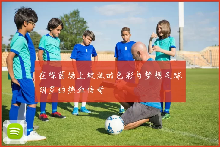 在绿茵场上绽放的色彩与梦想足球明星的热血传奇