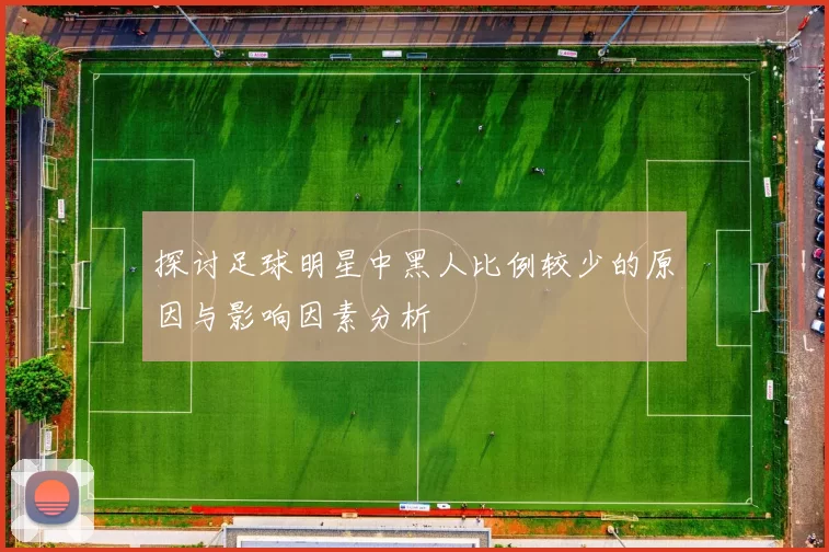 探讨足球明星中黑人比例较少的原因与影响因素分析