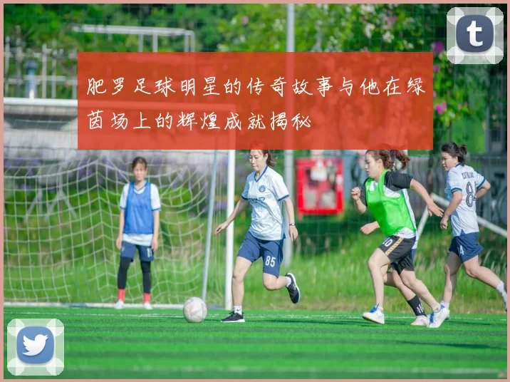 肥罗足球明星的传奇故事与他在绿茵场上的辉煌成就揭秘