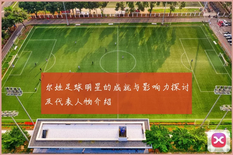 尔姓足球明星的成就与影响力探讨及代表人物介绍