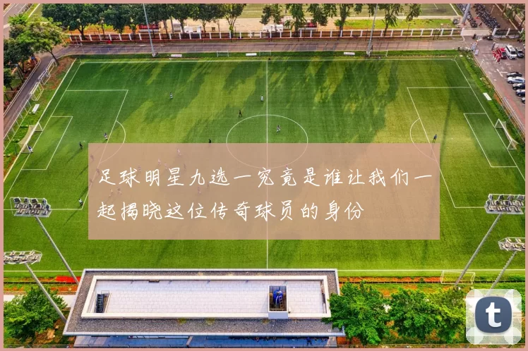 足球明星九选一究竟是谁让我们一起揭晓这位传奇球员的身份