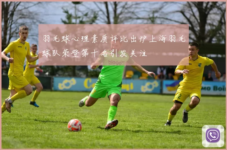 羽毛球心理素质评比出炉上海羽毛球队荣登第十名引发关注