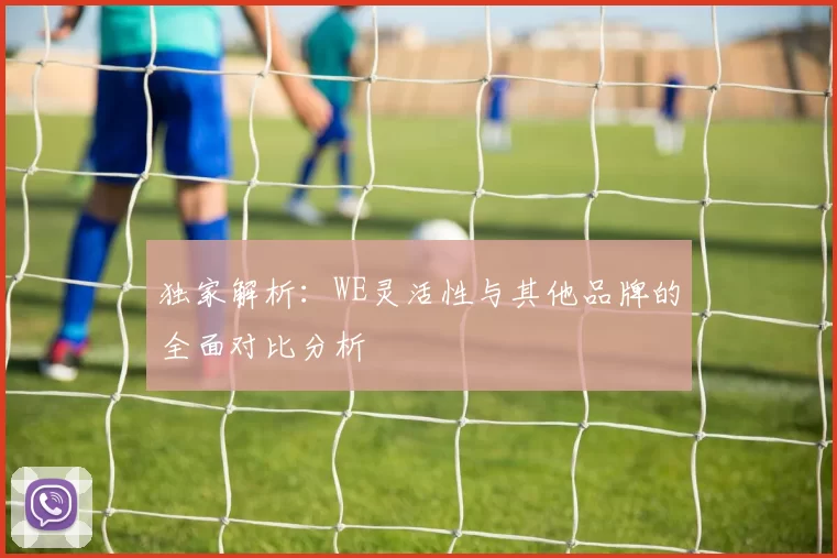 独家解析：WE灵活性与其他品牌的全面对比分析