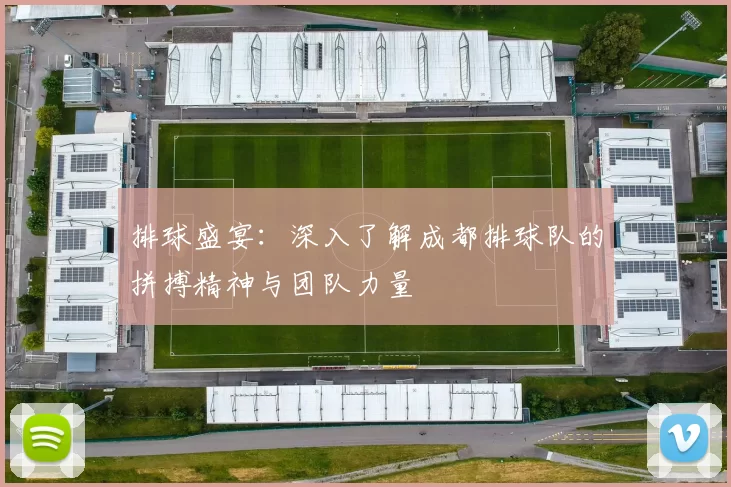 排球盛宴：深入了解成都排球队的拼搏精神与团队力量