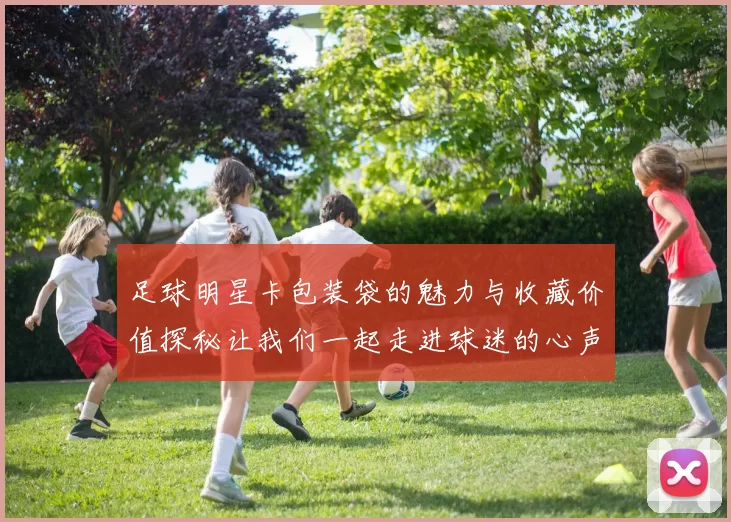 足球明星卡包装袋的魅力与收藏价值探秘让我们一起走进球迷的心声