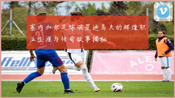 塞内加尔足球明星迪乌夫的辉煌职业生涯与传奇故事揭秘