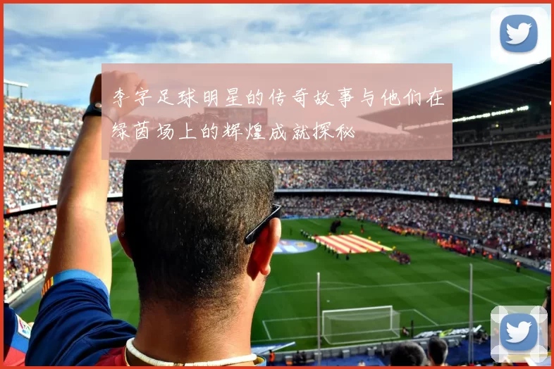 李字足球明星的传奇故事与他们在绿茵场上的辉煌成就探秘