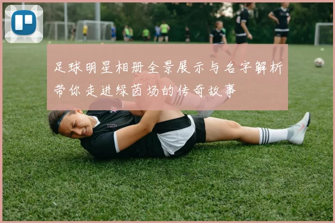 足球明星相册全景展示与名字解析带你走进绿茵场的传奇故事