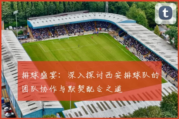 排球盛宴：深入探讨西安排球队的团队协作与默契配合之道