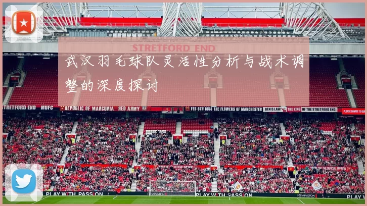 武汉羽毛球队灵活性分析与战术调整的深度探讨