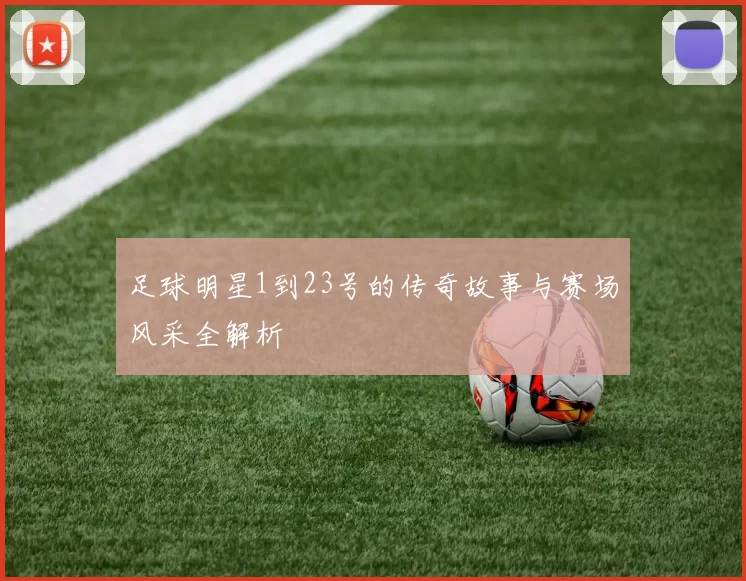 足球明星1到23号的传奇故事与赛场风采全解析