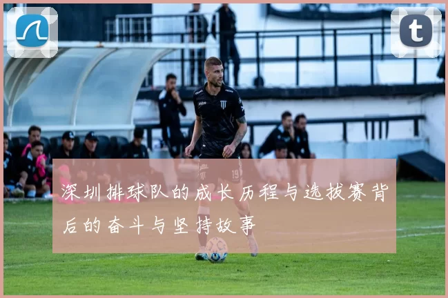 深圳排球队的成长历程与选拔赛背后的奋斗与坚持故事