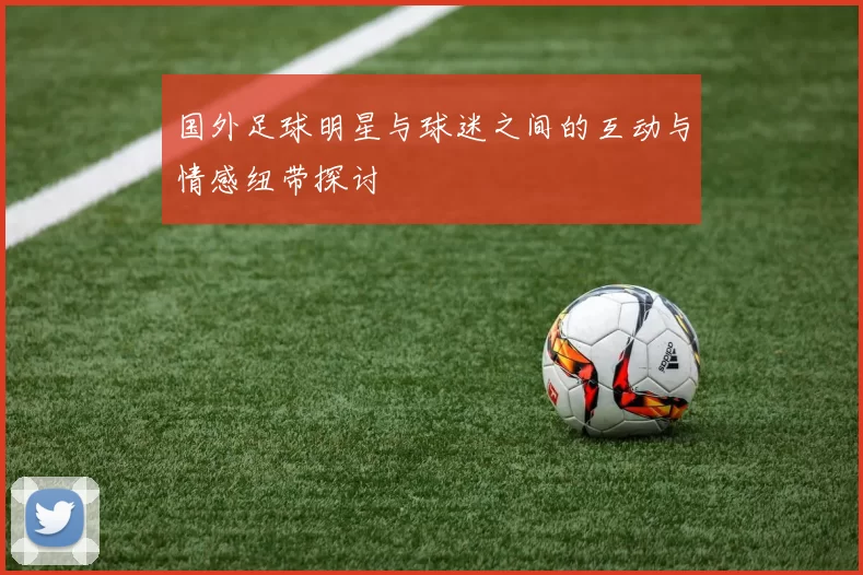 国外足球明星与球迷之间的互动与情感纽带探讨