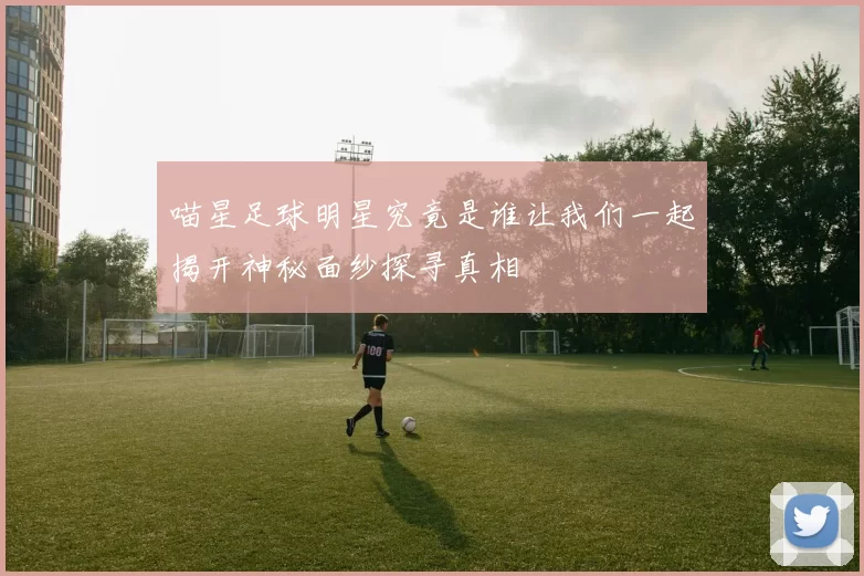 喵星足球明星究竟是谁让我们一起揭开神秘面纱探寻真相
