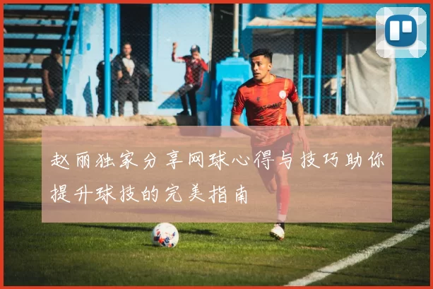 赵丽独家分享网球心得与技巧助你提升球技的完美指南