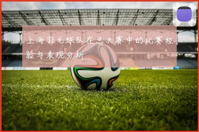 上海羽毛球队在总决赛中的比赛经验与表现分析