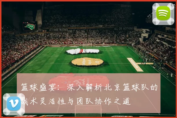 篮球盛宴：深入解析北京篮球队的战术灵活性与团队协作之道
