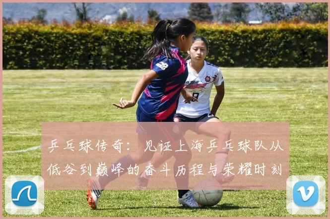 乒乓球传奇：见证上海乒乓球队从低谷到巅峰的奋斗历程与荣耀时刻